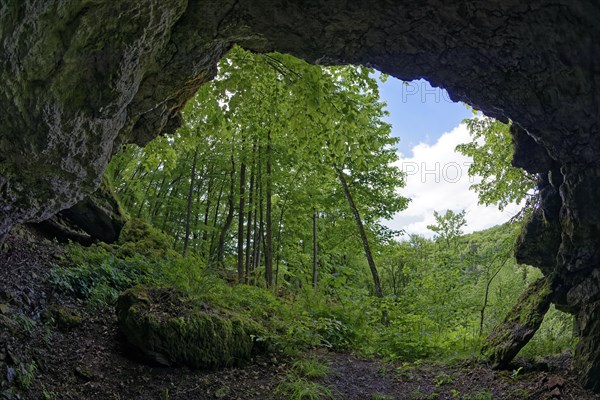 View from grotto