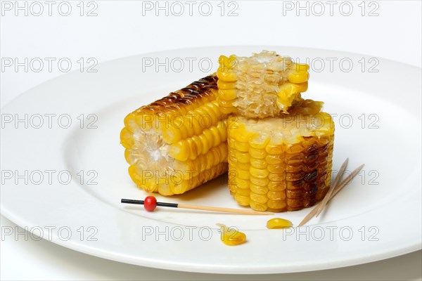 Grilled corn on the corn cob