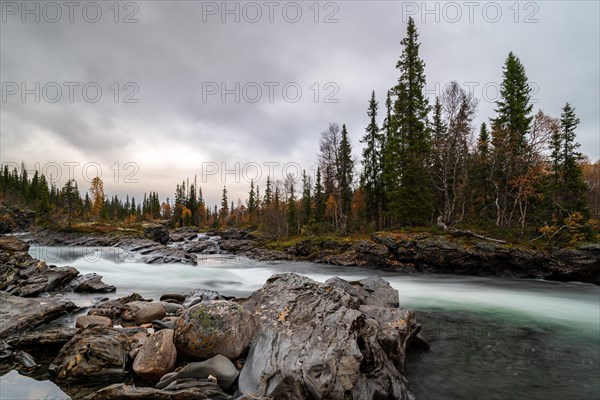 River Gauste
