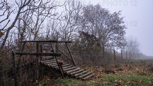 Hiking trail near Barby borg