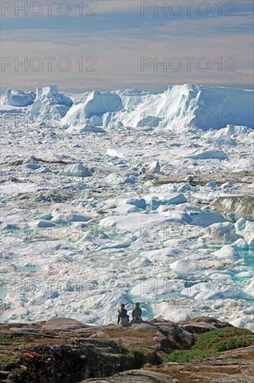 View over icebergs