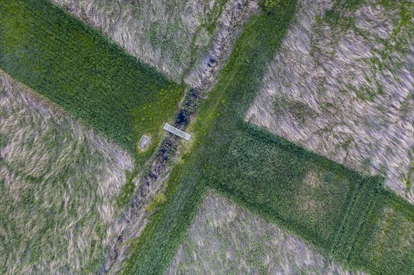 Cross of reeds