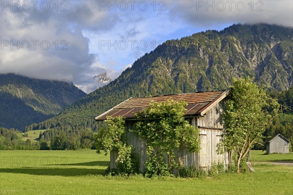 Lorettowiesen