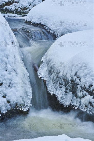 Icicles on the bank of the torrent Hoellbach