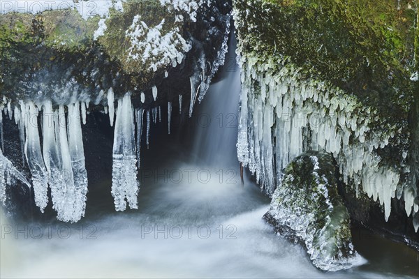 Icicles on the bank