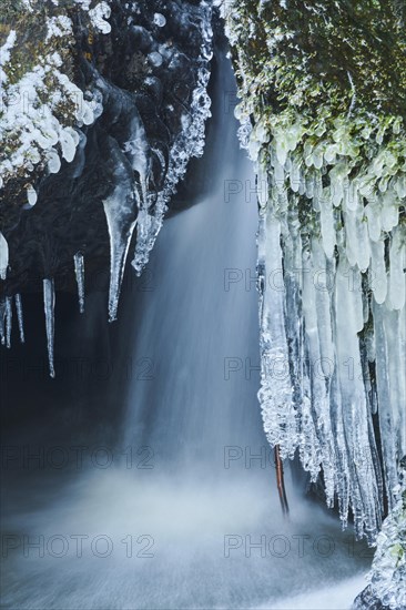 Icicles on the bank