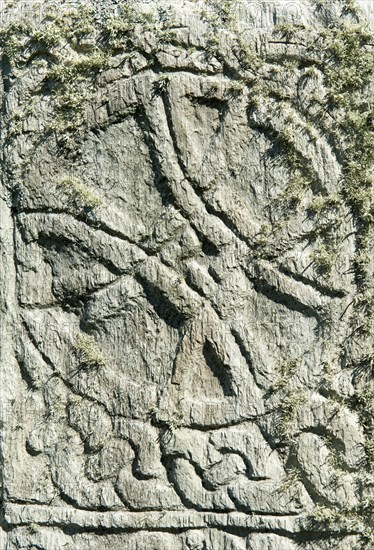 Pictish symbol stone