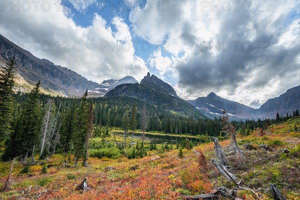 View of Lone Walker Mountain and Mount Rockwell with bushes in fall colors