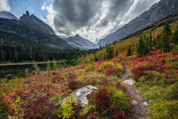 View of Lone Walker Mountain and Mount Rockwell with bushes in fall colors