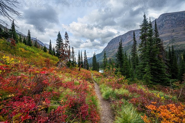 Hiking trail through bushes in autumn colors