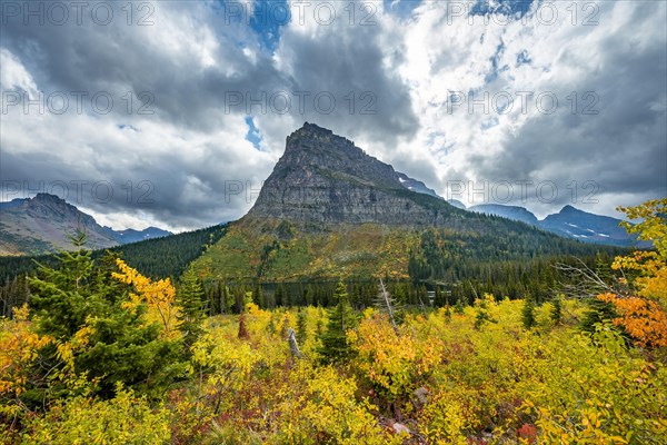 View of Sinopah Mountain with bushes in fall colors