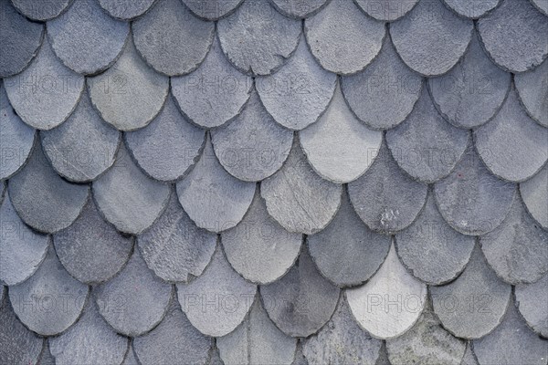 Black roof shingles