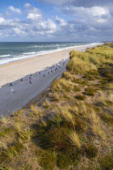 Beach chairs
