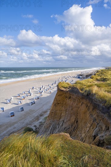Beach chairs