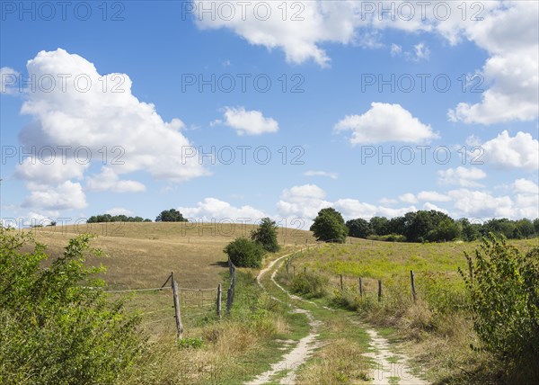 Field path through hilly landscape