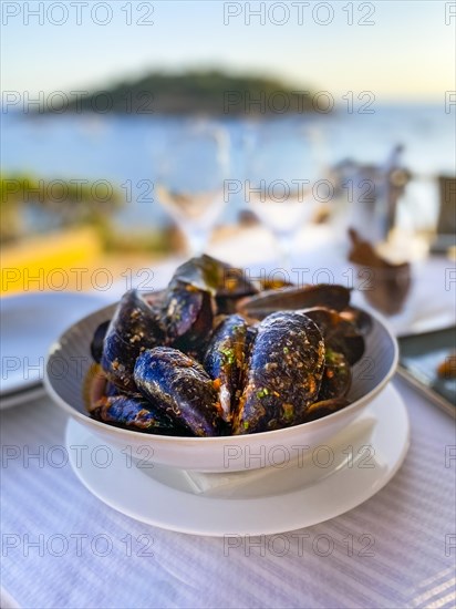 Mytilus (Mytilus) with tomato sauce and garlic in the evening sun by the sea