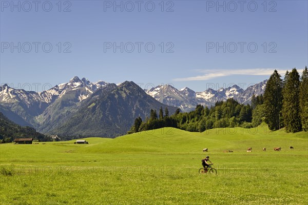 View from the meadows near the village Reichenbach to the mountain panorama of the Allgaeu Alps