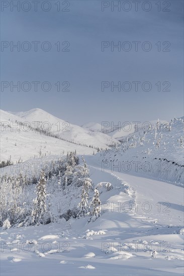 Snow covered mountain pass