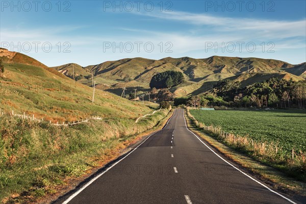 Hilly landscape