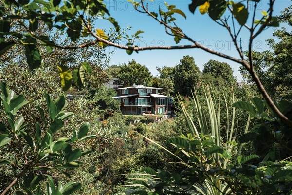 House in Napier