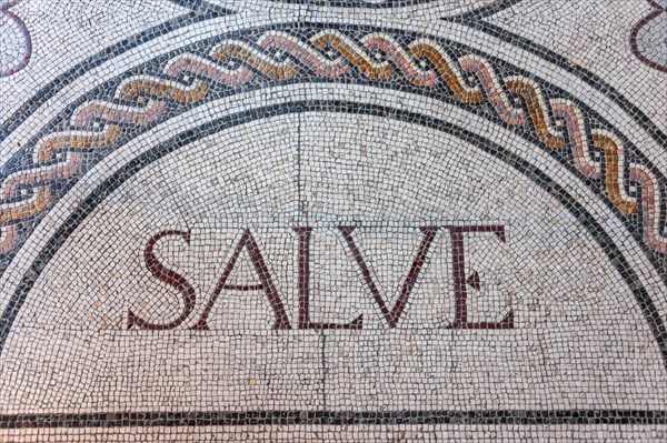Lettering Salve
