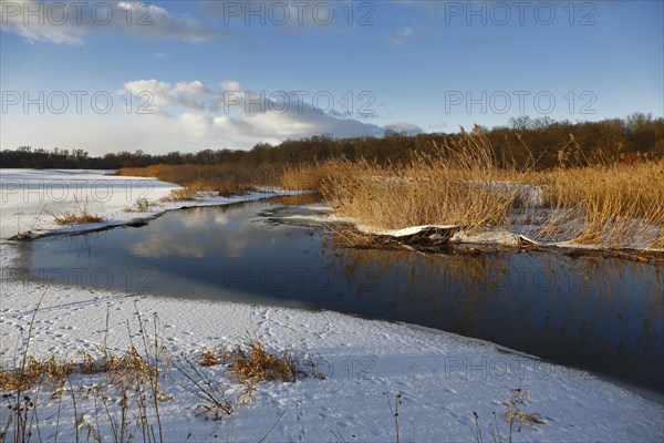 Winter atmosphere at Lake Leiner near Dessau-Rosslau
