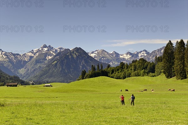 View from the meadows near the village Reichenbach to the mountain panorama of the Allgaeu Alps