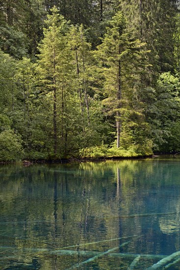 Mountain lake