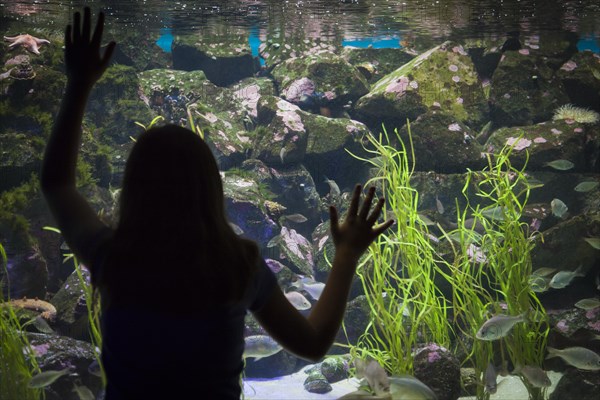 Amazed young girl standing up against large aquarium observation glass
