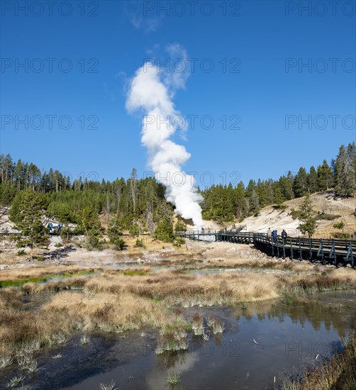 Mud Volcano