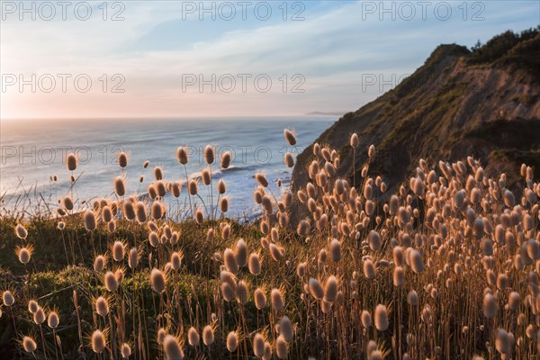 Sunset at Mahia Bay