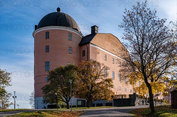 Uppsala castle