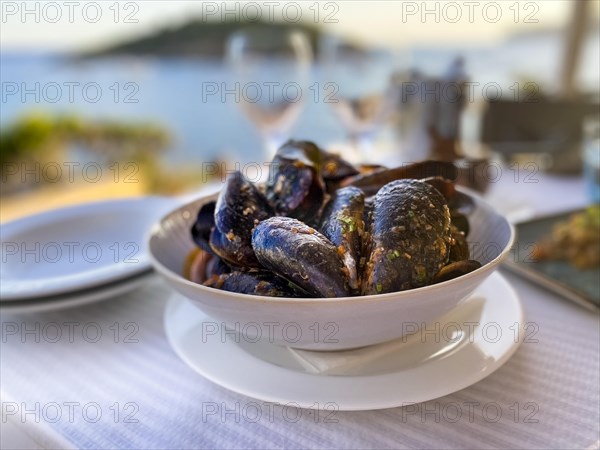 Mytilus (Mytilus) with tomato sauce and garlic in the evening sun by the sea