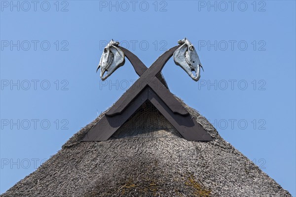 Horse skull on a thatched roof