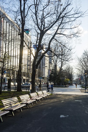 Odori Park