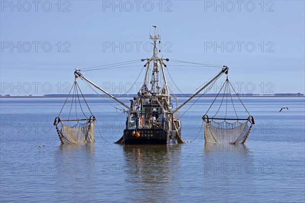Crab cutter in the North Sea off Buesum