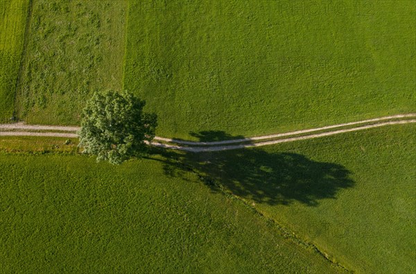 Drone image