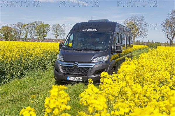 Motorhome in a rape field