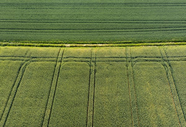 Drone image