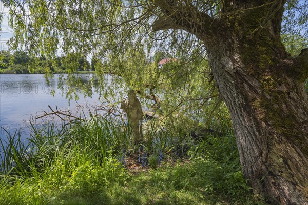 Sculpture of Hercules by Erwin Franz Wiegerling with weeping willow