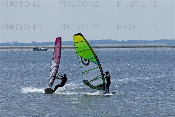 Windsurfer