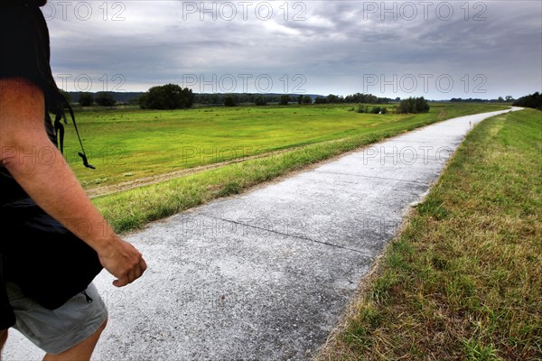 Hiker on Elbe dike