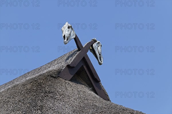 Horse skull on a thatched roof