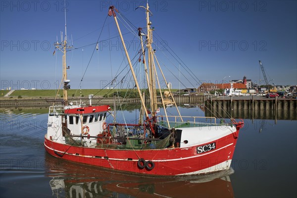 Shrimp cutter sails into the harbour