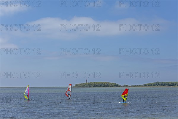 Windsurfer