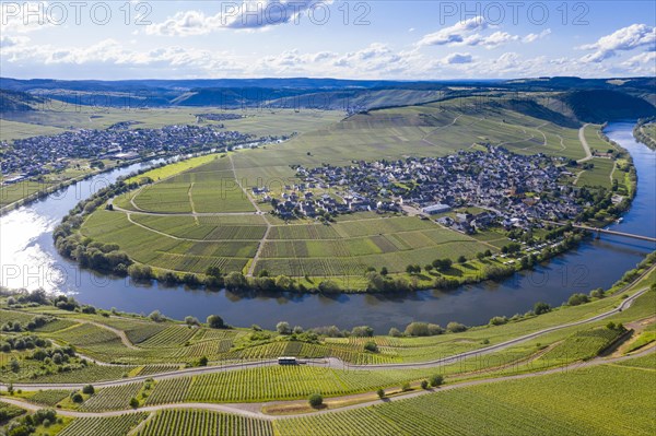 The Moselle at Trittenheim