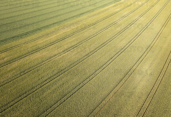 Drone image