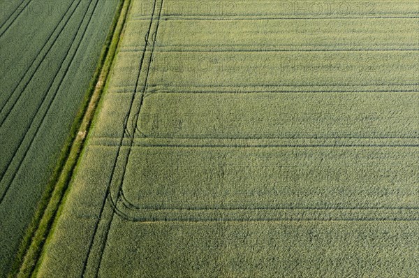 Drone image
