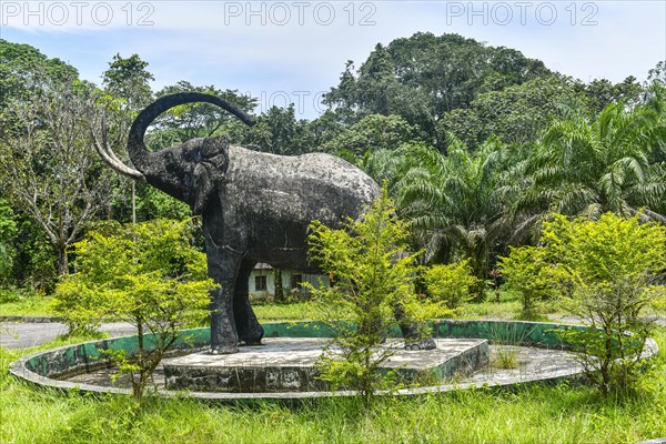 Cross river national Park