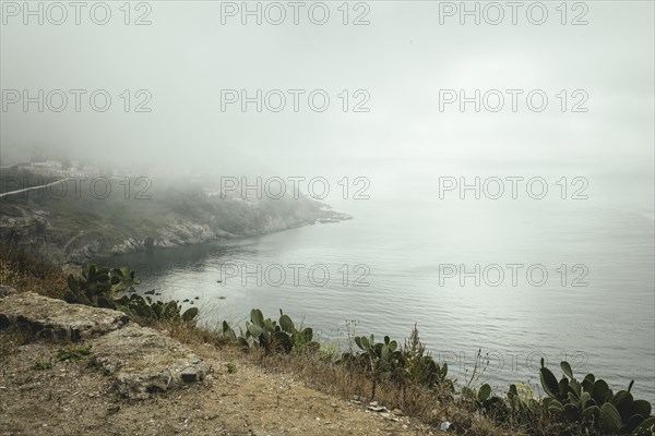 Coastal section